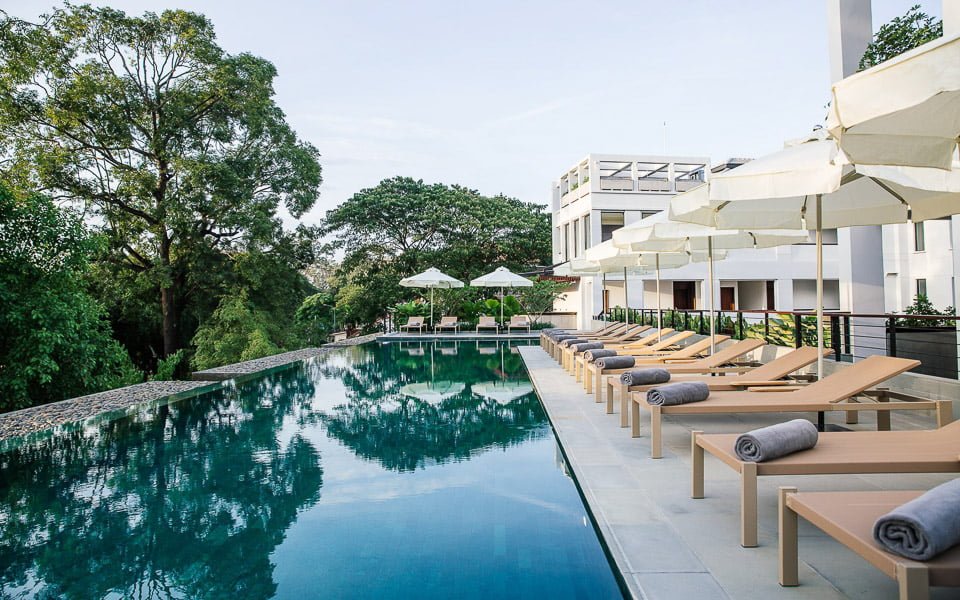 Treeline Siem Reap Cambodia